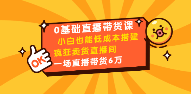 0基础直播带货课：小白也能低成本搭建疯狂卖货直播间：1场直播带货6万-久久资源库