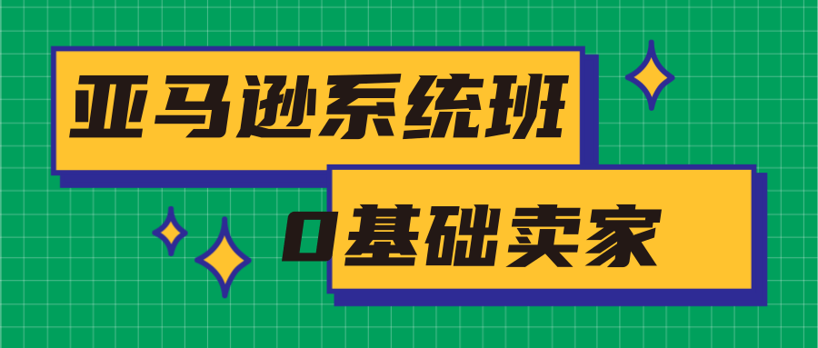 亚马逊系统班，专为0基础卖家量身打造，亚马逊运营流程与架构-久久资源库