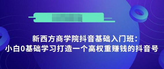 抖音基础入门班：小白0基础学习打造一个高权重赚钱的抖音号-久久资源库