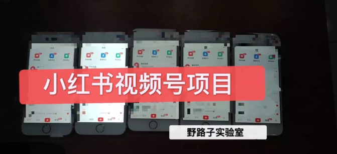 野路子小红书视频号1.0项目，直接上手操作就能赚钱的视频号项目-久久资源库