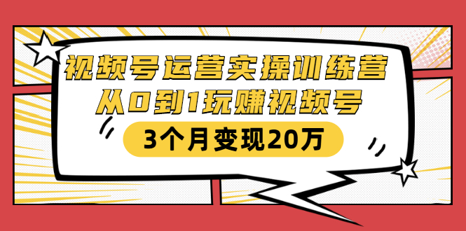 视频号运营实操训练营：从0到1玩赚视频号，3个月变现20万-久久资源库