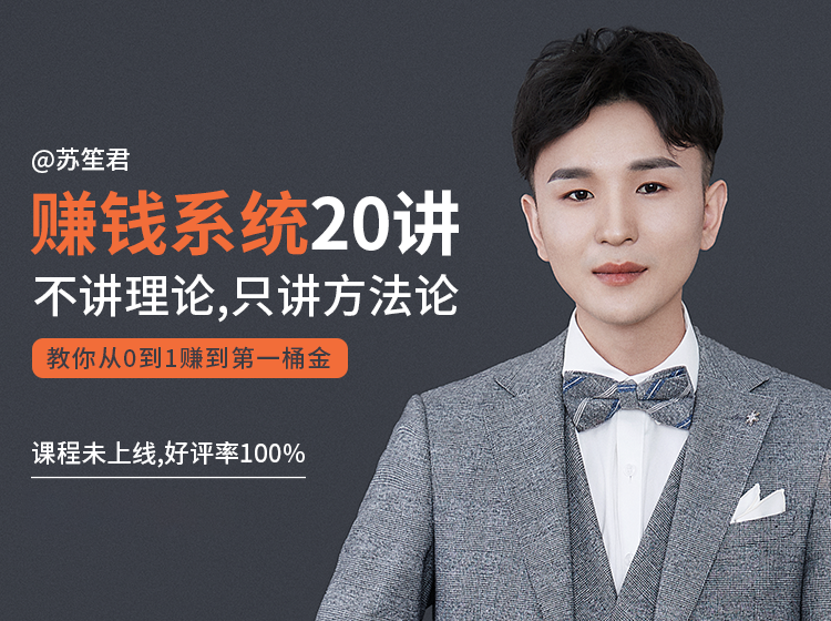 苏笙君的赚钱系统20课 教你从0到1赚到你的第一桶金（不讲理论，只讲方法论）-久久资源库