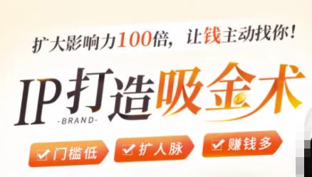 IP打造吸金术：0基础0资源，也能扩大影响力100倍，让钱主动找你！-久久资源库