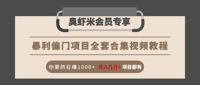 暴利偏门项目全套合集视频教程：你要的日赚1000+月入几万+项目都有-久久资源库