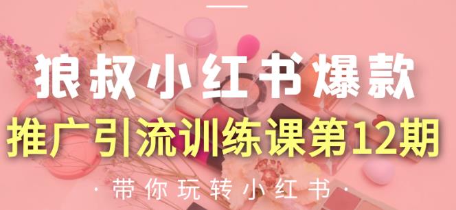 狼叔小红书爆款推广引流训练课第12期，手把手带你玩转小红书-久久资源库