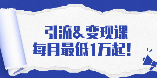 引流&变现课：分享一整套流量方法以及各个渠道收入，每月最低1万起！-久久资源库