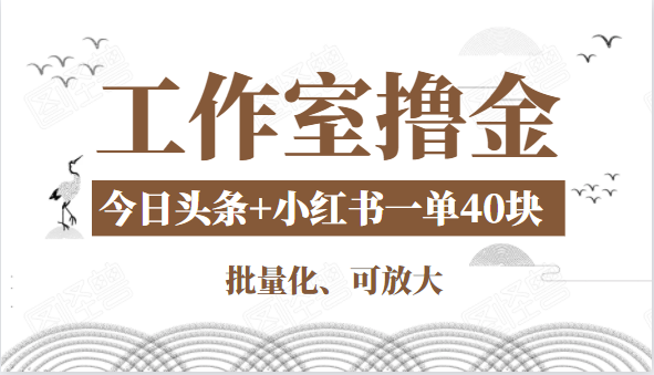 工作室撸金二件套：撸今日头条原创收益+小红书一单利润40块项目-久久资源库