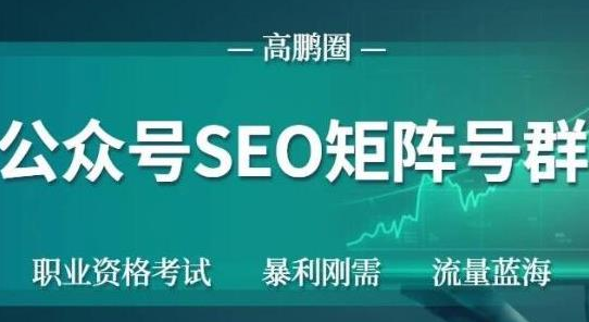 高鹏圈公众号SEO矩阵号群，实操20天纯收益25000+，普通人都能做-久久资源库