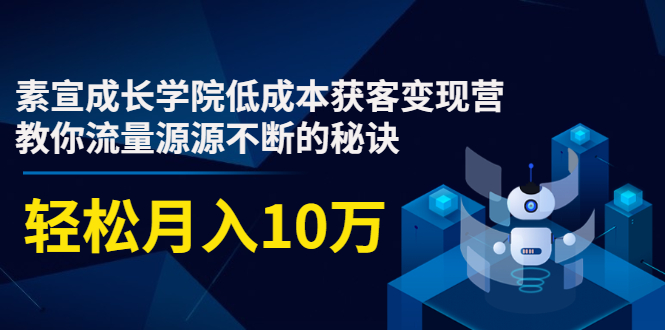 素宣成长学院低成本获客变现营，教你流量源源不断的秘诀，轻松月入10万-久久资源库