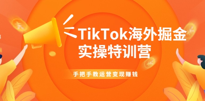 TikTok海外掘金实操特训营：手把手教运营变现赚钱-久久资源库