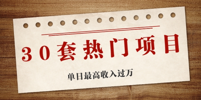 30套热门项目：单日最高收入过万 (网赚项目、朋友圈、涨粉套路、抖音、快手)等-久久资源库