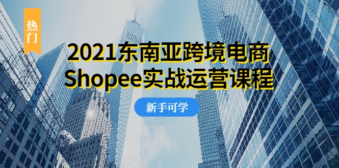 2021东南亚跨境电商Shopee实战运营课程，0基础、0经验、0投资的副业项目-久久资源库