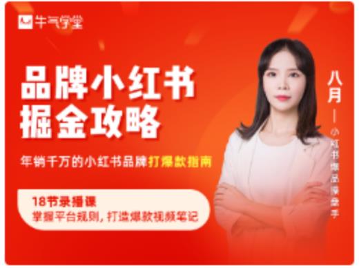品牌小红书掘金攻略，年销千万的小红书品牌打爆款指南-久久资源库