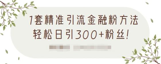 1套精准引流金融粉方法，轻松日引300+粉丝-久久资源库