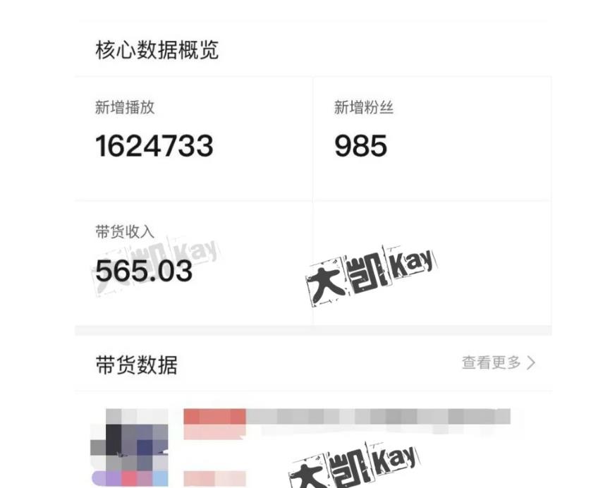 大凯进阶圈新玩法之拼多多视频玩法，利润大概一个号一天能有500~1500的左右!-久久资源库
