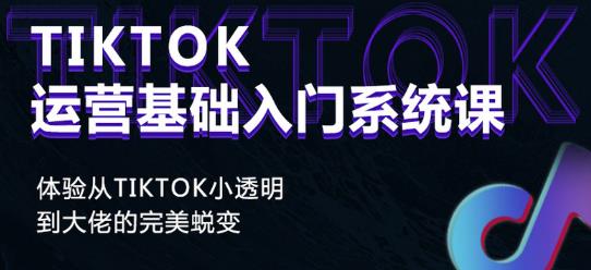 Tiktok实操进阶课程，体验从tiktok小透明到大佬的完美蜕变-久久资源库