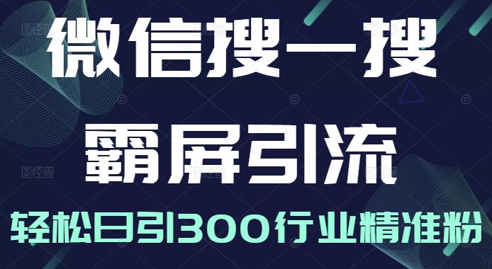 微信搜一搜霸屏引流课，打造被动精准引流系统，轻松日引300行业精准粉-久久资源库