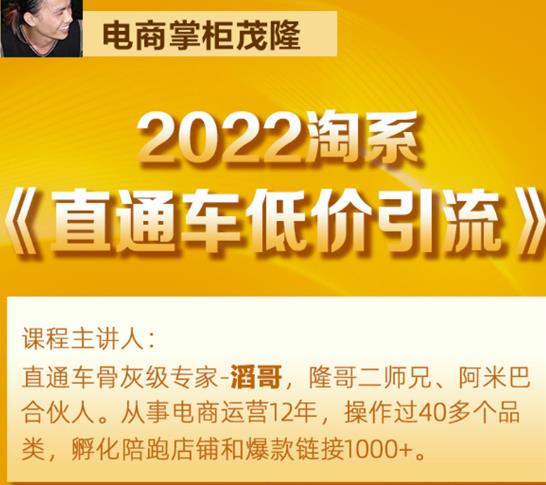 茂隆2022直通车低价引流玩法，教大家如何低投入高回报的直通车玩法-久久资源库