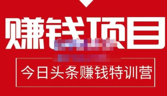 懒人领域·今日头条项目玩法，头条中视频项目，单号收益在50—500可批量-久久资源库