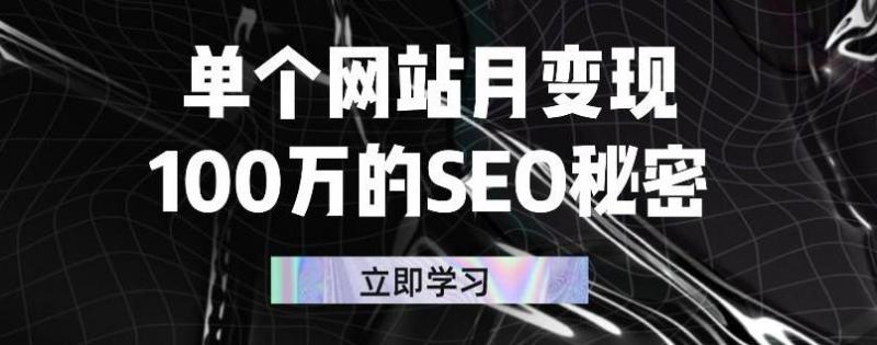 单个网站月变现100万的SEO秘密，百分百做出赚钱站点-久久资源库
