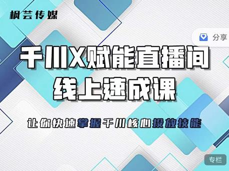 枫芸传媒-线上千川提升课，提升千川认知，提升千川投放效果-久久资源库