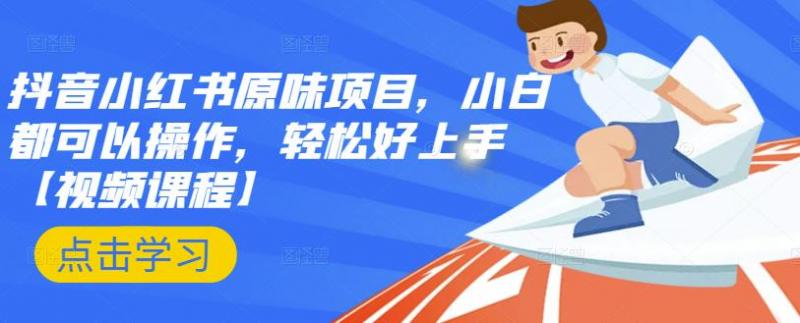 抖音小红书原味项目，小白都可以操作，轻松好上手【视频课程】-久久资源库