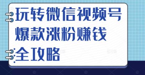 玩转微信视频号爆款涨粉赚钱全攻略，让你快速抓住流量风口，收获红利财富-久久资源库