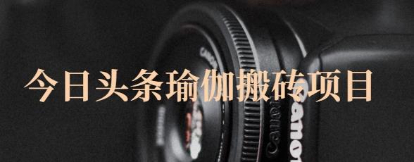 猎人社区·今日头条瑜伽搬砖项目，单号一天几十收入，可以批量操作！-久久资源库