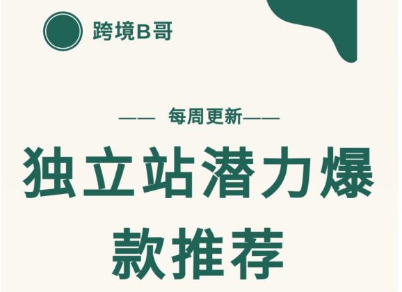 【跨境B哥】独立站潜力爆款选品推荐，测款出单率高达百分之80-久久资源库