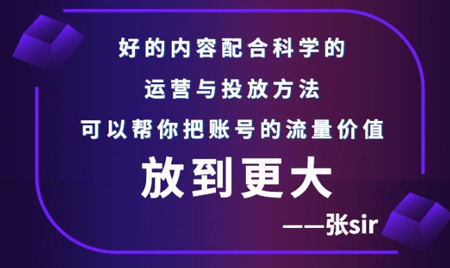 张sir账号流量增长课，告别海王流量，让你的流量更精准-久久资源库