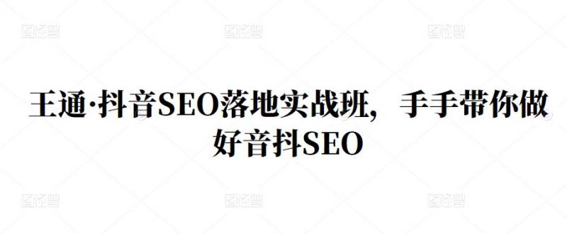 王通·抖音SEO落地实战班，手‬手带你做好音抖‬‬SEO-久久资源库