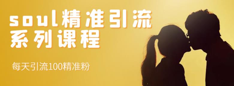 soul精准引流系列课程，每天引流100精准粉-久久资源库