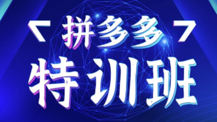 星雪教育·拼多多基础班+进阶班+突破班，用系统的学习模式快速改变现状价值3580元-久久资源库