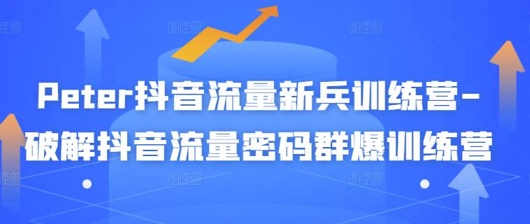 Peter抖音流量新兵训练营-破解抖音流量密码群爆训练营（新兵）-久久资源库