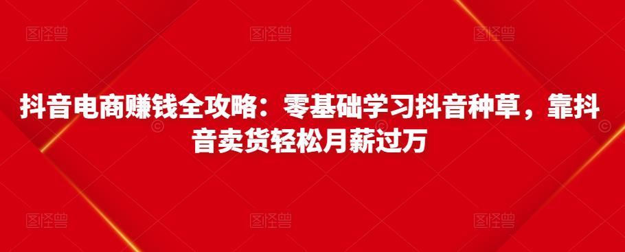 抖音电商赚钱全攻略：零基础学习抖音种草，靠抖音卖货轻松月薪过万-久久资源库