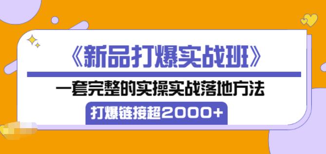 凌童《新品打爆实战班》,一套完整的实操实战落地方法，打爆链接超2000+（28节课)-久久资源库