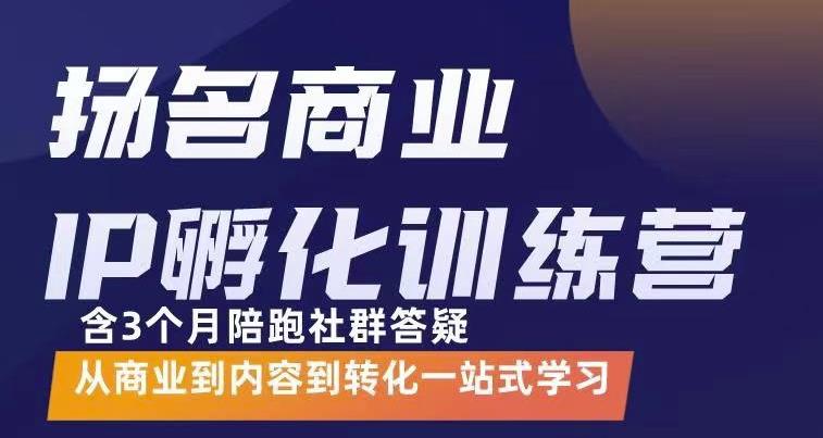 杨名商业IP孵化训练营，从商业到内容到转化一站式学 价值5980元-久久资源库