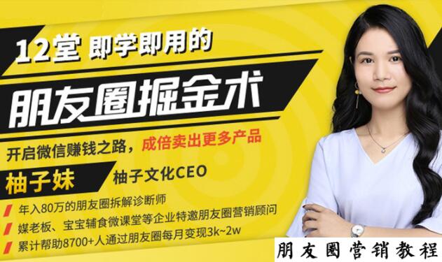 【营销必学】12堂学之即用的朋友圈掘金术：开启你的副业赚钱之路-久久资源库