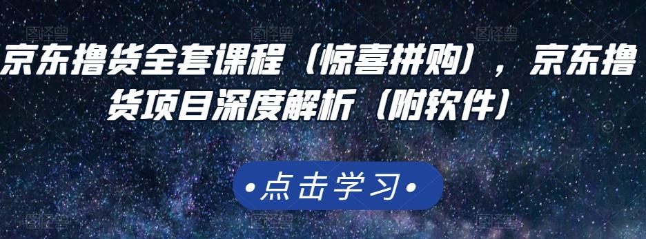 京东撸货全套课程（惊喜拼购），京东撸货项目深度解析（附软件）-久久资源库