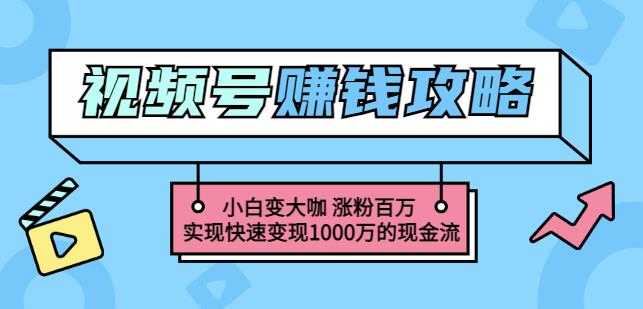 玩转微信视频号赚钱：小白变大咖涨粉百万实现快速变现1000万的现金流-久久资源库