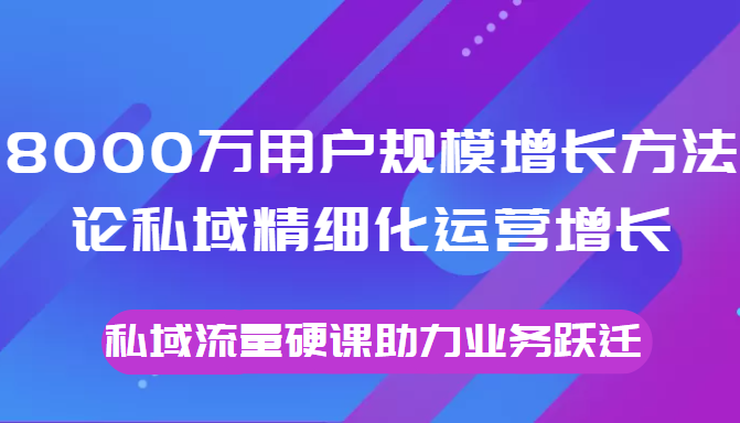 8000万用户规模增长方法论私域精细化运营增长，私域流量硬课助力业务跃迁-久久资源库