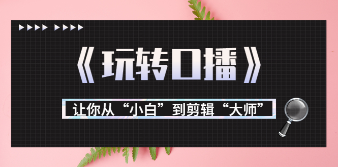 月营业额700万+大佬教您《玩转口播》让你从“小白”到剪辑“大师”-久久资源库