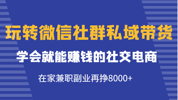 玩转微信社群私域带货，学会就能赚钱的社交电商，在家兼职副业再挣8000+-久久资源库