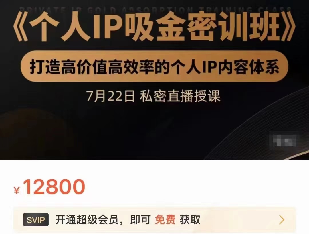 个人IP吸金密训班，打造高价值高效率的个人IP内容体系（价值12800元）-久久资源库
