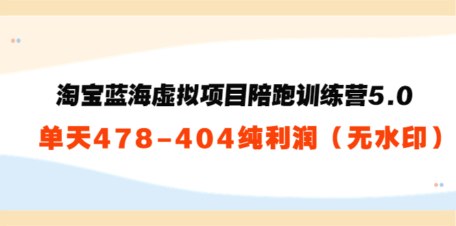 淘宝蓝海虚拟项目陪跑训练营5.0：单天478纯利润-久久资源库