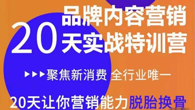 《内容营销实操特训营》20天让你营销能力脱胎换骨（价值3999）-久久资源库