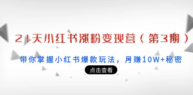 21天小红书涨粉变现营（第3期）：带你掌握小红书爆款玩法，月赚10W+秘密-久久资源库
