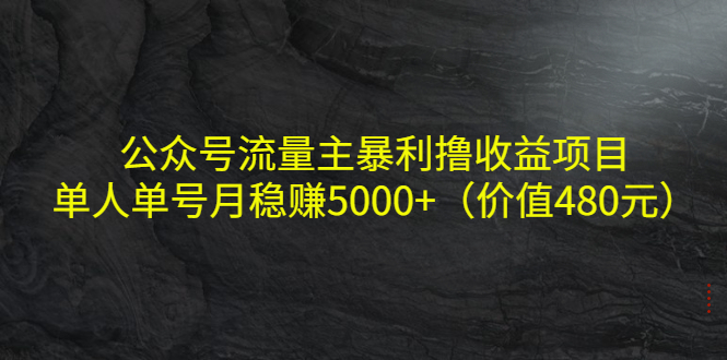 公众号流量主暴利撸收益项目，单人单号月稳赚5000+（价值480元）-久久资源库