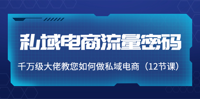 私域电商流量密码：千万级大佬教您如何做私域电商（12节课）-久久资源库