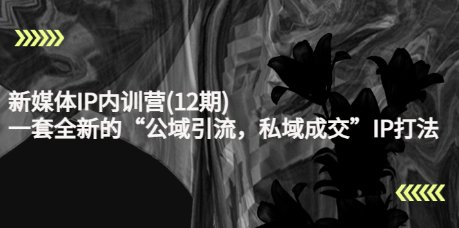 新媒体IP内训营(12期)，一套全新的“公域引流，私域成交”IP打法，直接带走-久久资源库